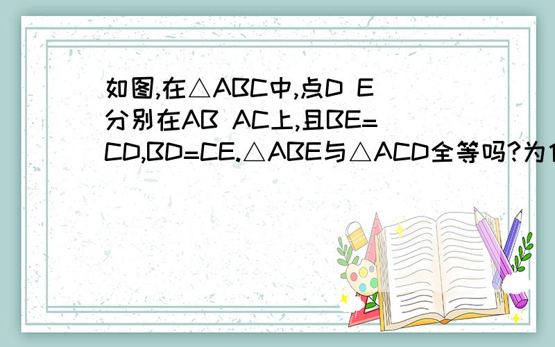 如图,在△ABC中,点D E分别在AB AC上,且BE=CD,BD=CE.△ABE与△ACD全等吗?为什么?