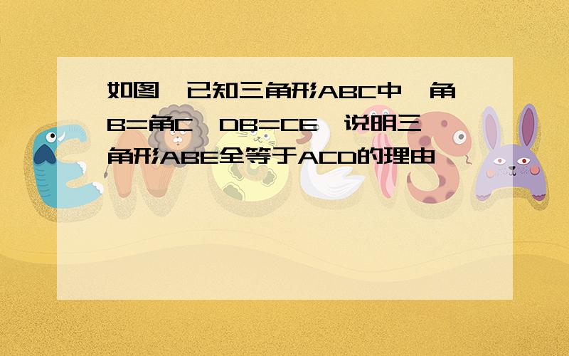 如图,已知三角形ABC中,角B=角C,DB=CE,说明三角形ABE全等于ACD的理由