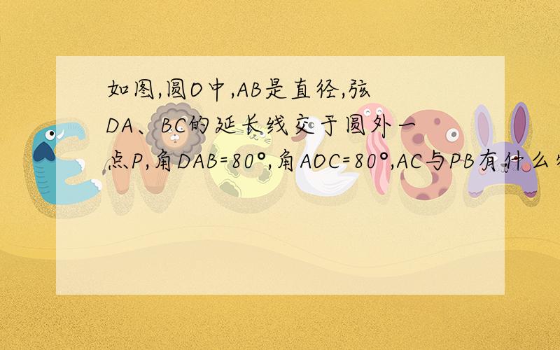 如图,圆O中,AB是直径,弦DA、BC的延长线交于圆外一点P,角DAB=80°,角AOC=80°,AC与PB有什么特殊的位置关系?为什么?图：那有没有平分的可能呢？