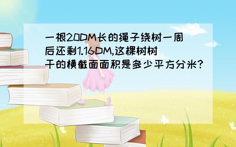 一根20DM长的绳子绕树一周后还剩1.16DM,这棵树树干的横截面面积是多少平方分米?