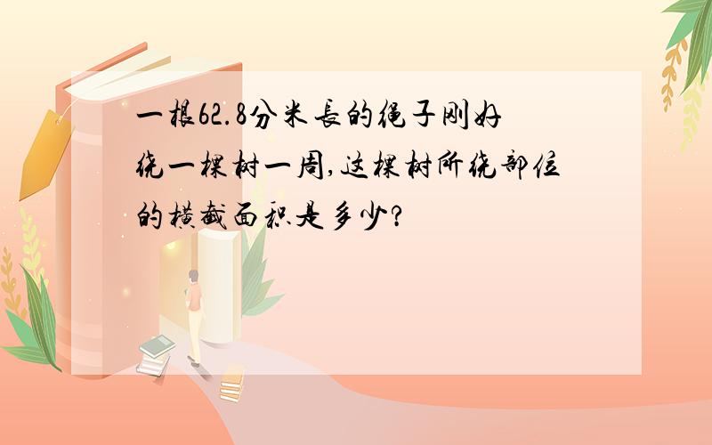 一根62.8分米长的绳子刚好绕一棵树一周,这棵树所绕部位的横截面积是多少?