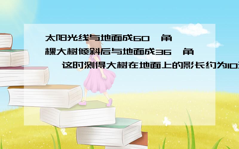 太阳光线与地面成60°角,一棵大树倾斜后与地面成36°角, 这时测得大树在地面上的影长约为10米,求大树的长(精确到0.1米).