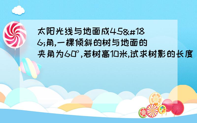 太阳光线与地面成45º角,一棵倾斜的树与地面的夹角为60º,若树高10米,试求树影的长度