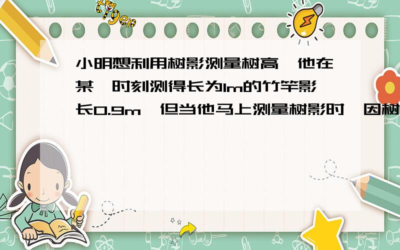 小明想利用树影测量树高,他在某一时刻测得长为1m的竹竿影长0.9m,但当他马上测量树影时,因树靠近一幢建筑物,影子不全落在地面上,有一部分影子在墙上,如图,他先测得留在墙上的影高1.2m,又