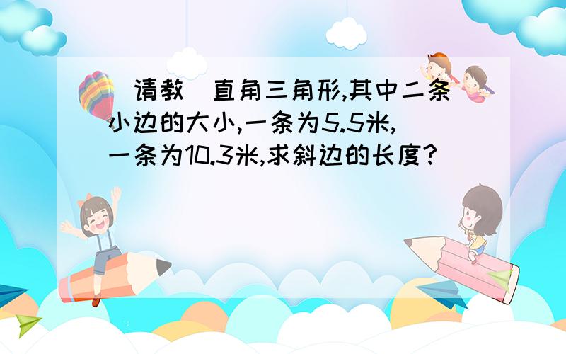 （请教）直角三角形,其中二条小边的大小,一条为5.5米,一条为10.3米,求斜边的长度?