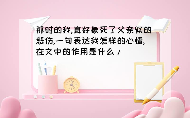 那时的我,真好象死了父亲似的悲伤,一句表达我怎样的心情,在文中的作用是什么/