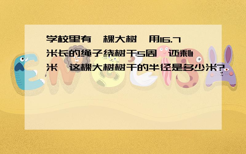 学校里有一棵大树,用16.7米长的绳子绕树干5周,还剩1米,这棵大树树干的半径是多少米?