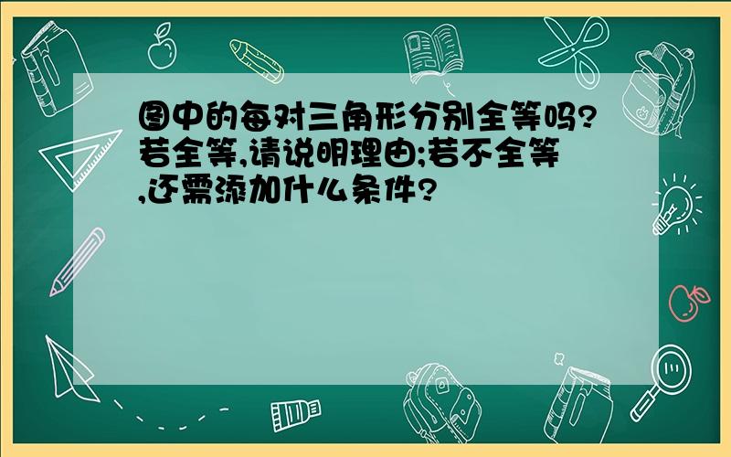 图中的每对三角形分别全等吗?若全等,请说明理由;若不全等,还需添加什么条件?