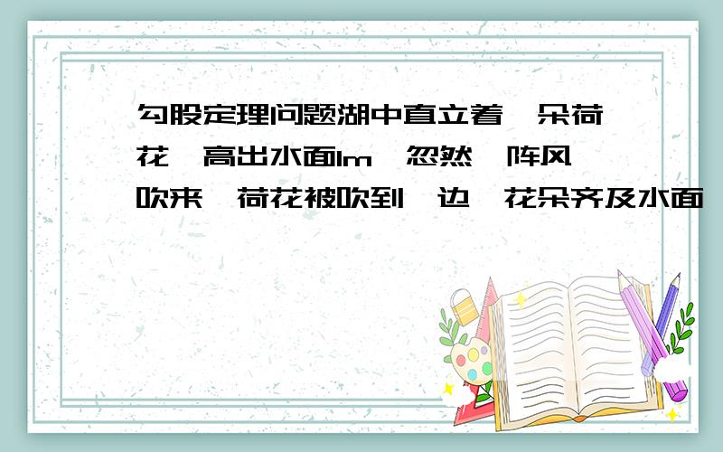 勾股定理问题湖中直立着一朵荷花,高出水面1m,忽然一阵风吹来,荷花被吹到一边,花朵齐及水面,若荷花水平移动距离为2m,求水深.