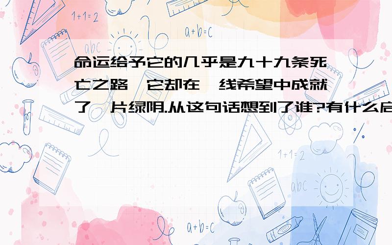 命运给予它的几乎是九十九条死亡之路,它却在一线希望中成就了一片绿阴.从这句话想到了谁?有什么启示?