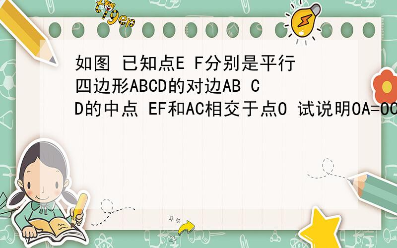 如图 已知点E F分别是平行四边形ABCD的对边AB CD的中点 EF和AC相交于点O 试说明OA=OC