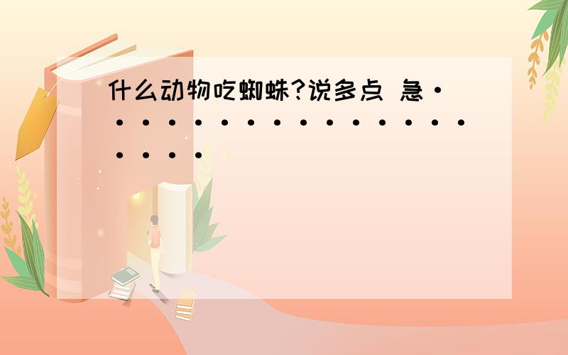 什么动物吃蜘蛛?说多点 急···················