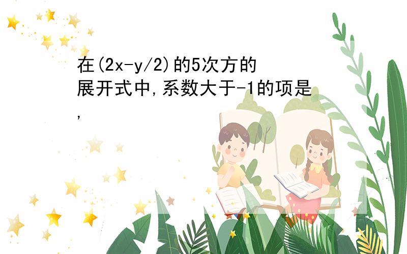 在(2x-y/2)的5次方的展开式中,系数大于-1的项是,