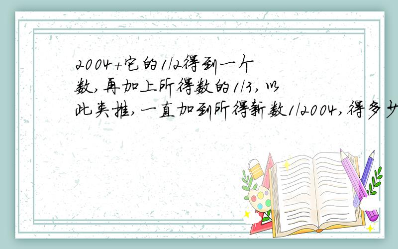 2004+它的1/2得到一个数,再加上所得数的1/3,以此类推,一直加到所得新数1/2004,得多少?