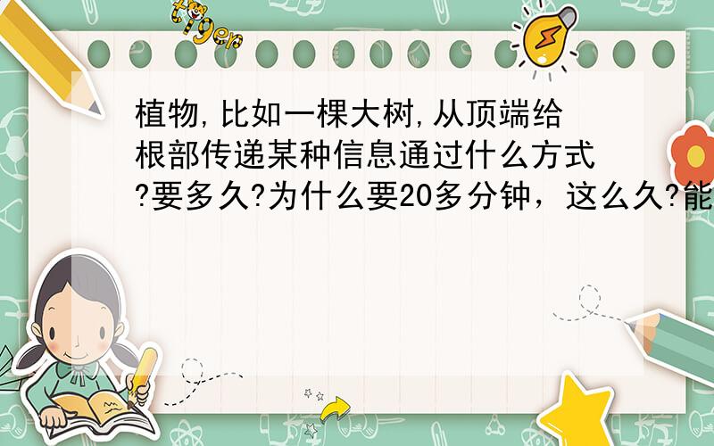 植物,比如一棵大树,从顶端给根部传递某种信息通过什么方式?要多久?为什么要20多分钟，这么久?能具体点通过什么传输吗?