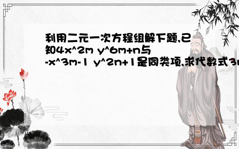 利用二元一次方程组解下题,已知4x^2m y^6m+n与-x^3m-1 y^2n+1是同类项,求代数式3m-4n的值