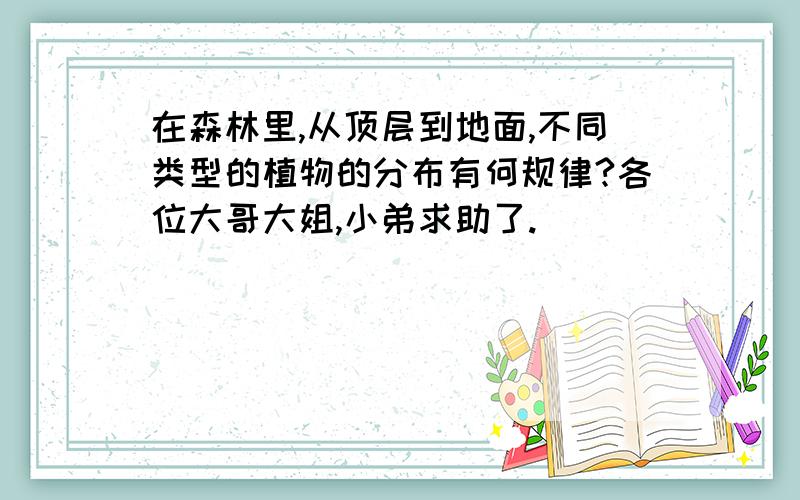 在森林里,从顶层到地面,不同类型的植物的分布有何规律?各位大哥大姐,小弟求助了.