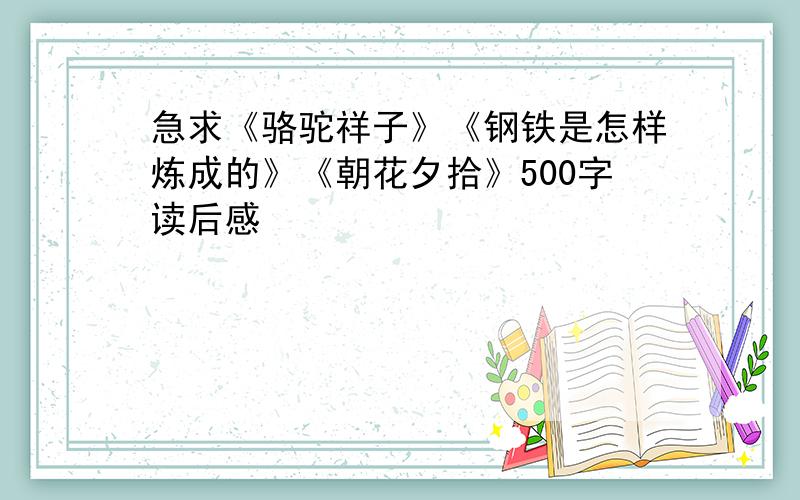 急求《骆驼祥子》《钢铁是怎样炼成的》《朝花夕拾》500字读后感