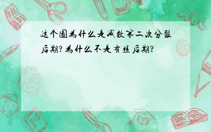 这个图为什么是减数第二次分裂后期?为什么不是有丝后期?