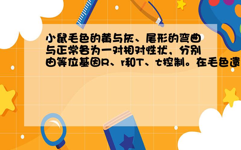 小鼠毛色的黄与灰、尾形的弯曲与正常各为一对相对性状，分别由等位基因R、r和T、t控制。在毛色遗传中，具有某种纯合基因型的合子不能完成胚胎发育。从鼠群中选择多只基因型相同的雌