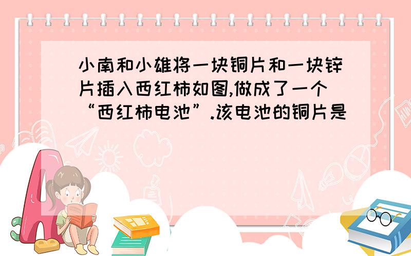 小南和小雄将一块铜片和一块锌片插入西红柿如图,做成了一个“西红柿电池”.该电池的铜片是_______极,由电压表可知“西红柿电池”的电压为_______V.一个发光二极管工作时要求电压为2.5V,需