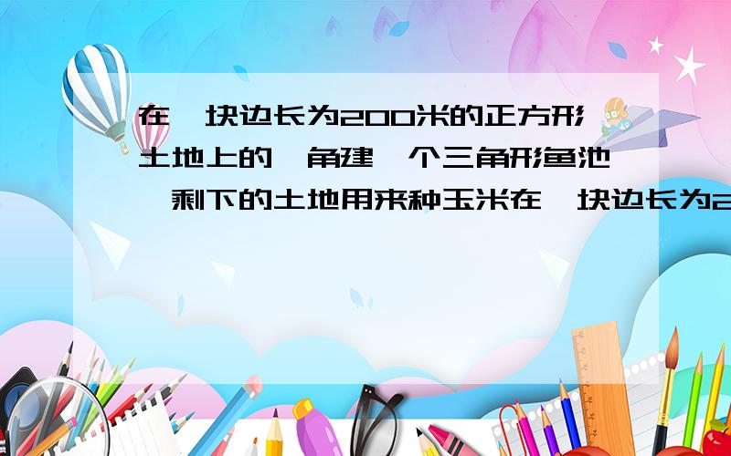 在一块边长为200米的正方形土地上的一角建一个三角形鱼池,剩下的土地用来种玉米在一块边长为200米的正方形土地上的一角建一个三角形鱼池，剩下的土地用来种玉米。每公顷可收玉米5吨