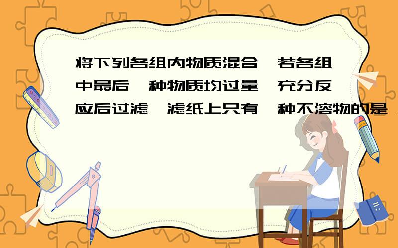 将下列各组内物质混合,若各组中最后一种物质均过量,充分反应后过滤,滤纸上只有一种不溶物的是 A.Fe、Ag、CuSO4B.Na2CO3溶液、石灰水、硝酸C.MgSO4溶液、Ba(NO3)2溶液、盐酸D.BaCl2溶液、AgNO3溶液