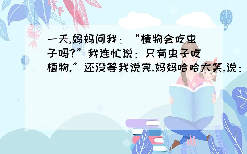 一天,妈妈问我：“植物会吃虫子吗?”我连忙说：只有虫子吃植物.”还没等我说完,妈妈哈哈大笑,说：“可不能轻易下结论,有的植物也能吃虫子.不信,我们到姥姥家看看猪笼草.”我们来到姥