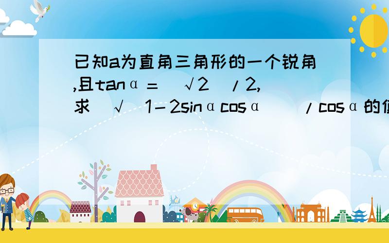 已知a为直角三角形的一个锐角,且tanα＝（√2）/2,求[√（1－2sinαcosα）]/cosα的值