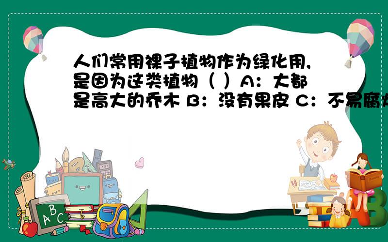 人们常用裸子植物作为绿化用,是因为这类植物（ ）A：大都是高大的乔木 B：没有果皮 C：不易腐烂 D：成活率较高