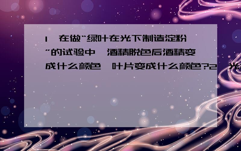 1、在做“绿叶在光下制造淀粉”的试验中,酒精脱色后酒精变成什么颜色,叶片变成什么颜色?2、光合作用的实质是将二氧化碳和水转变为有机物和氧气,把它们储存在什么地方?3、在早晨、傍