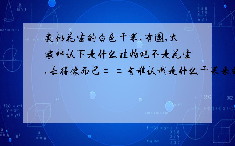 类似花生的白色干果,有图,大家辨认下是什么植物吧不是花生,长得像而已= =有谁认识是什么干果来的么,我老妈买来吃的,不知道是什么不敢乱吃,求验证!