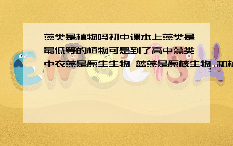 藻类是植物吗初中课本上藻类是最低等的植物可是到了高中藻类中衣藻是原生生物 蓝藻是原核生物 和植物同属五届 这是怎么回事呢?