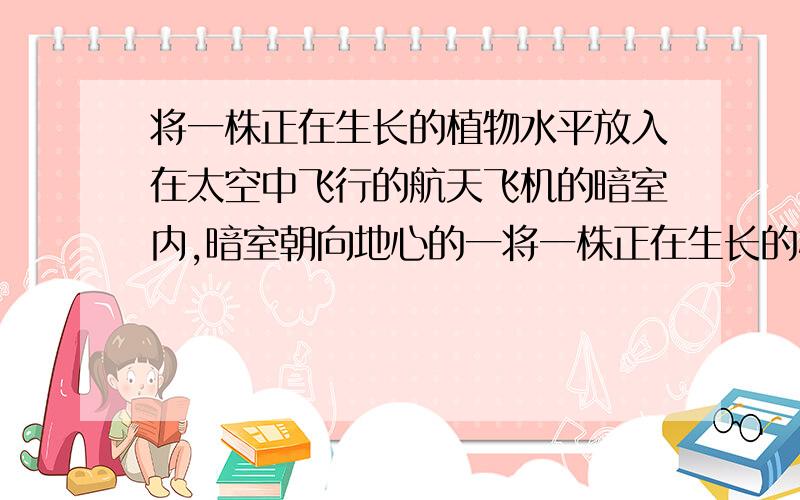 将一株正在生长的植物水平放入在太空中飞行的航天飞机的暗室内,暗室朝向地心的一将一株正在生长的植物水平放入在太空中飞行的航天飞机的暗室内，暗室朝向地心的一侧开一个小孔，小