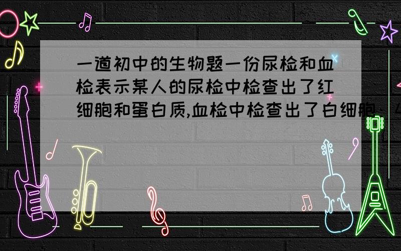 一道初中的生物题一份尿检和血检表示某人的尿检中检查出了红细胞和蛋白质,血检中检查出了白细胞：4.6x10的9次方个/L   血红蛋白：140g/L丁的检查结果可以推断,丁患病的部位可能是肾脏中