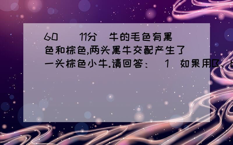 60．（11分）牛的毛色有黑色和棕色,两头黑牛交配产生了一头棕色小牛.请回答：（1）如果用B、b分别表示牛毛色的显性基因和隐性基因,则上述两头黑牛的基因组成是 、 .（2）上述两头黑牛