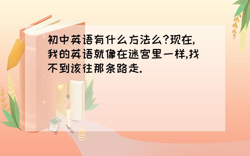 初中英语有什么方法么?现在,我的英语就像在迷宫里一样,找不到该往那条路走.