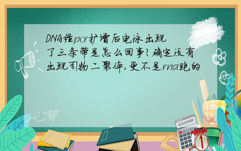 DNA经pcr扩增后电泳出现了三条带是怎么回事?确定没有出现引物二聚体,更不是rna跑的