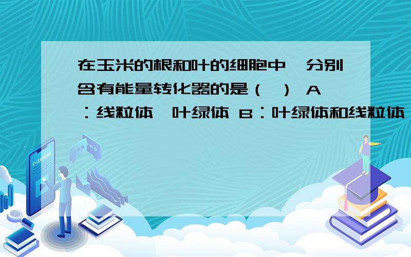 在玉米的根和叶的细胞中,分别含有能量转化器的是（ ） A：线粒体,叶绿体 B：叶绿体和线粒体、叶绿体和线粒体.C：线粒体、叶绿体和线绿体D：叶绿体和线粒体、叶绿体.希望都说一下为什