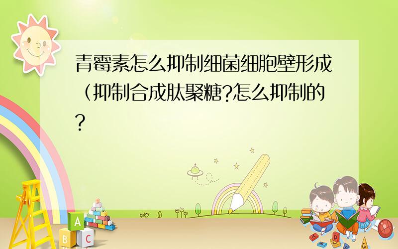 青霉素怎么抑制细菌细胞壁形成（抑制合成肽聚糖?怎么抑制的?