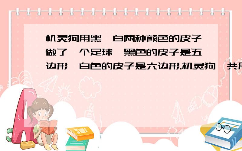 机灵狗用黑、白两种颜色的皮子做了一个足球,黑色的皮子是五边形,白色的皮子是六边形.机灵狗一共用了12块黑皮子,它用了几块白皮子呢?