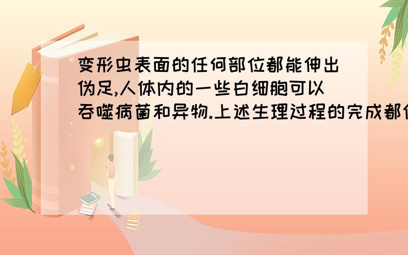 变形虫表面的任何部位都能伸出伪足,人体内的一些白细胞可以吞噬病菌和异物.上述生理过程的完成都依赖于细胞膜的（ ）.A.选择透过性 B.流动性C.保护性 D.主动运输