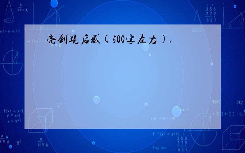 亮剑观后感(500字左右),