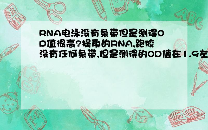 RNA电泳没有条带但是测得OD值很高?提取的RNA,跑胶没有任何条带,但是测得的OD值在1.9左右,为什么,而且重复做了2次都是这样的?如果是跑胶降解了，也不可能没有任何亮带吧？以前也做过的，