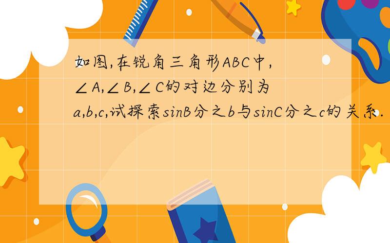 如图,在锐角三角形ABC中,∠A,∠B,∠C的对边分别为a,b,c,试探索sinB分之b与sinC分之c的关系.（提示：作BC边上的高AD）