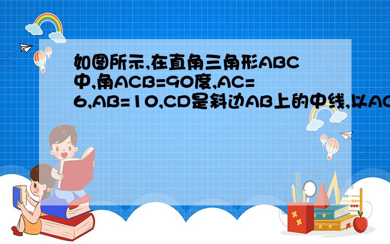 如图所示,在直角三角形ABC中,角ACB=90度,AC=6,AB=10,CD是斜边AB上的中线,以AC为直径,做圆O,设线段CD的中点为P，则点P于圆O的位置关系是A,圆上 B,圆内 C,圆外 D,不确定圆心O可以是AC上任意一点吗