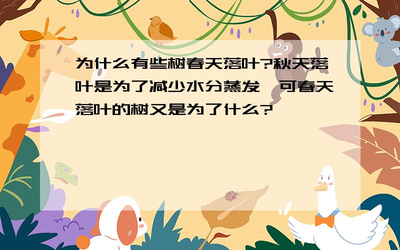 为什么有些树春天落叶?秋天落叶是为了减少水分蒸发,可春天落叶的树又是为了什么?