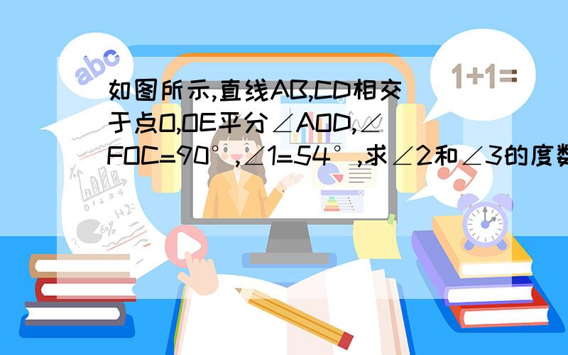 如图所示,直线AB,CD相交于点O,OE平分∠AOD,∠FOC=90°,∠1=54°,求∠2和∠3的度数.