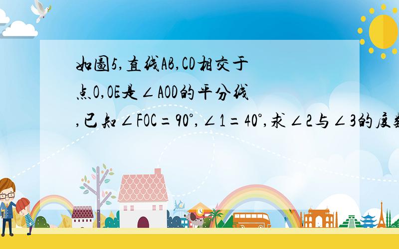 如图5,直线AB,CD相交于点O,OE是∠AOD的平分线,已知∠FOC=90°,∠1=40°,求∠2与∠3的度数.