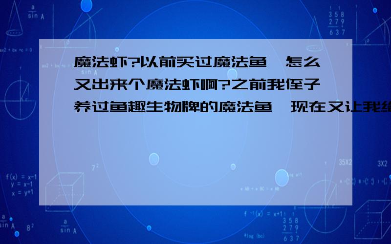 魔法虾?以前买过魔法鱼,怎么又出来个魔法虾啊?之前我侄子养过鱼趣生物牌的魔法鱼,现在又让我给他买魔法虾玩.孩子们的玩具是越来越新奇啊!